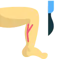 Vascular Surgeon